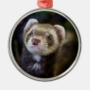 Adorno Metálico Ferret