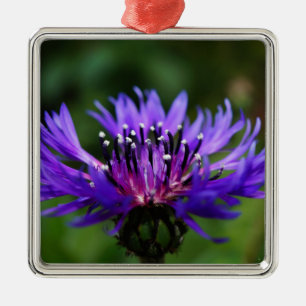 Adorno Metálico Flor de Aciano Azul Florece Paz Amor Destino