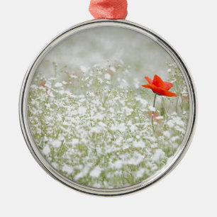 Adorno Metálico Flor de amapola roja pradera blanca romántica