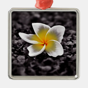 Adorno Metálico Flor de Hawaii del Frangipani del Plumeria