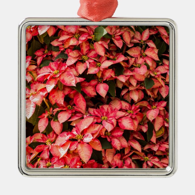 Adorno Metálico Flor de los Navidades de Poinsettia Roja (Frente)