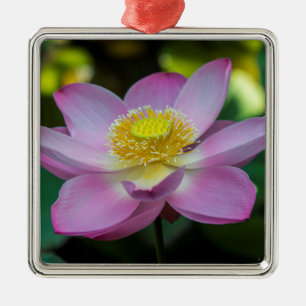 Adorno Metálico Flor de loto florecida, Indonesia
