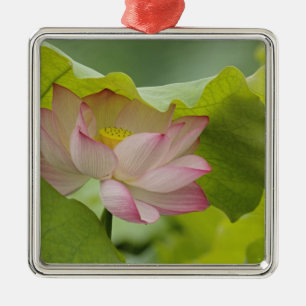 Adorno Metálico Flor de loto, Nelumbo nucifera, China