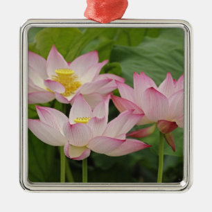 Adorno Metálico Flor de loto, Nelumbo nucifera, China 2