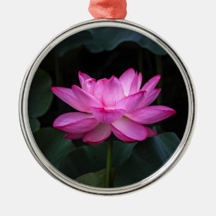 Adorno Metálico Flor de Lotus