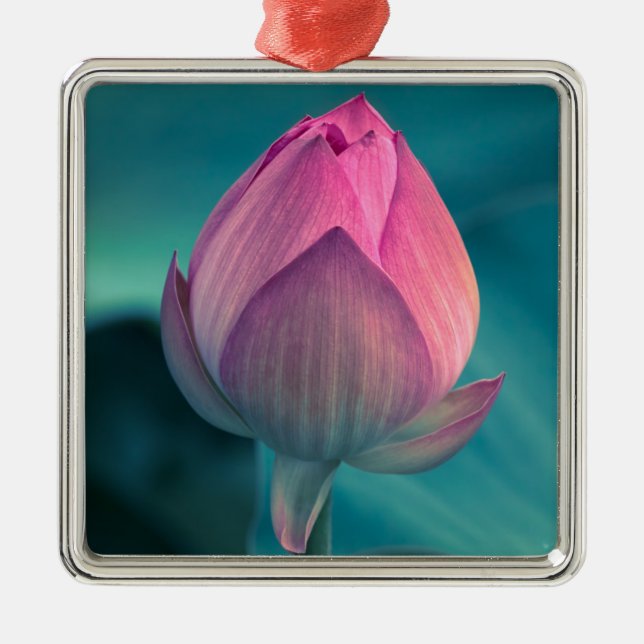 Adorno Metálico Flor del lirio de agua de Lotus (Frente)