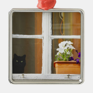 Adorno Metálico Flor en la ventana, Sighisoara, Rumania