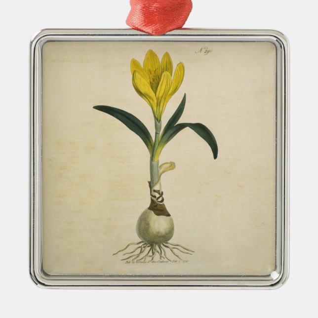 Adorno Metálico Flor Jardín Botánico Amaryllis Tulip (Frente)