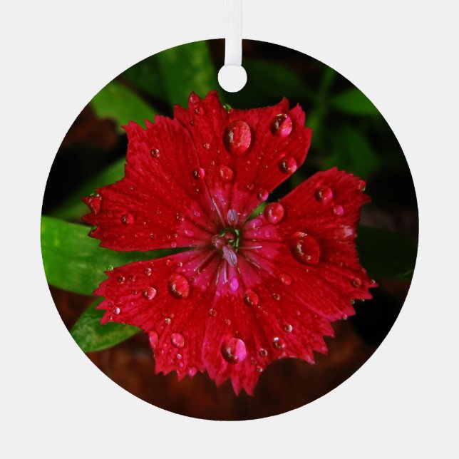 Adorno Metálico Flor Roja Con Gotas De Lluvia (Anverso)