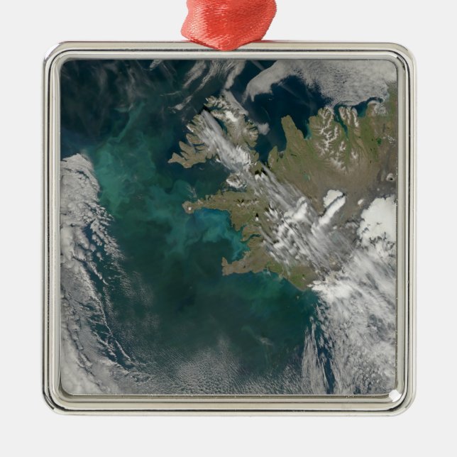 Adorno Metálico Florencia del fitoplancton en el Océano Atlántico  (Frente)