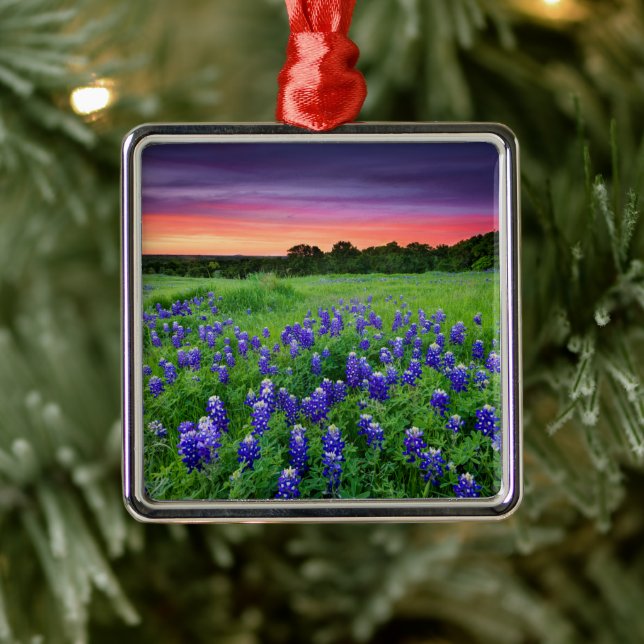 Adorno Metálico Flores | Bluebonnets en Sunset Texas (Árbol)