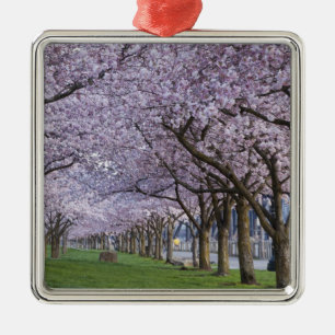 Adorno Metálico Flores de cerezo a lo largo del río Willamette, EE