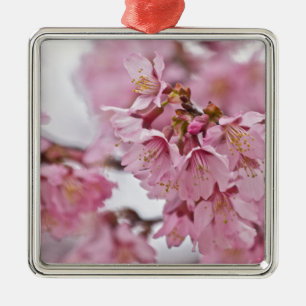 Adorno Metálico Flores de cerezo Sakura Rosa Pálido