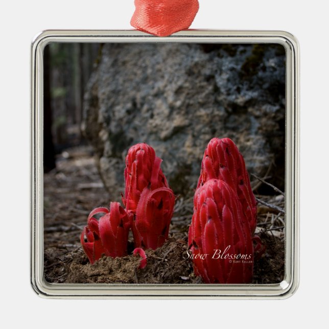 Adorno Metálico Flores de nieve (Frente)