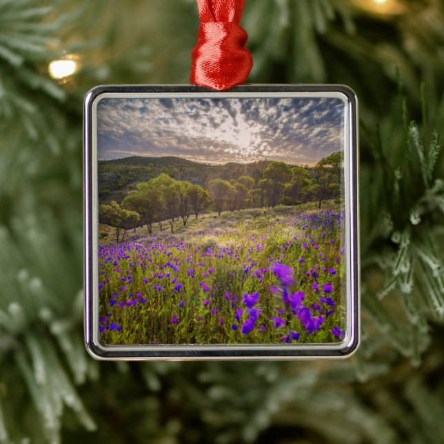 Adorno Metálico Flores | Flinders Ranges Australia (Árbol)