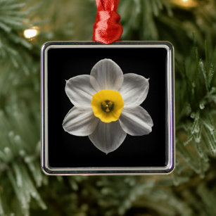 Adorno Metálico Flores   Flor de Daffodil blanca