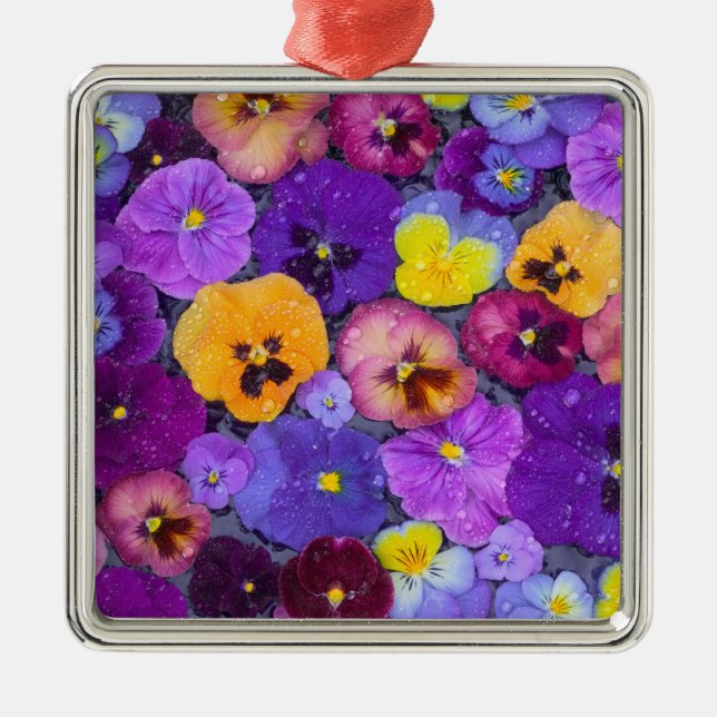 Adorno Metálico Flores pansy flotando en un baño de pájaro con roc (Frente)