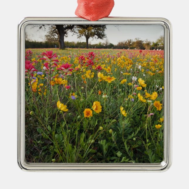 Adorno Metálico Flores silvestres al borde de la carretera en Texa (Frente)