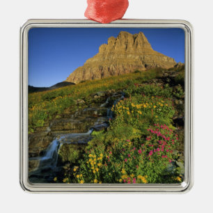 Adorno Metálico Flores silvestres alpinas y Mt Clements en Logan P
