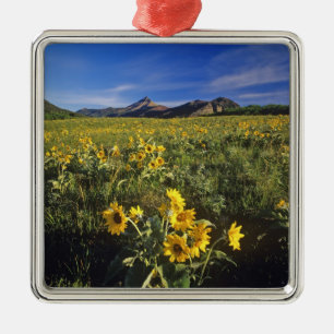 Adorno Metálico Flores silvestres de balsomroot de hoja de flecha