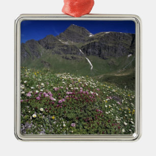 Adorno Metálico Flores silvestres, floreciendo, Alpes, Suiza