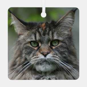 Adorno Metálico Fluffy Maine Coon Cat