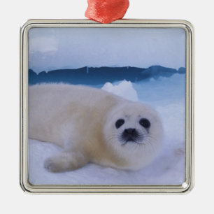 Adorno Metálico Foca de Groenlandia Norteamérica, Canadá, Quebec