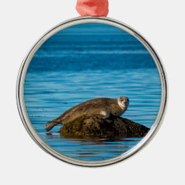 Adorno Metálico Foca de puerto Atlántico