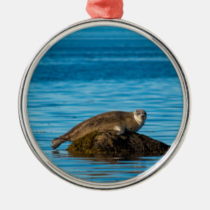 Adorno Metálico Foca de puerto Atlántico