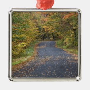 Adorno Metálico Follaje de otoño en la carretera, sur de Vermont,