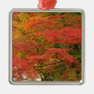 Adorno Metálico Follaje de otoño japonés