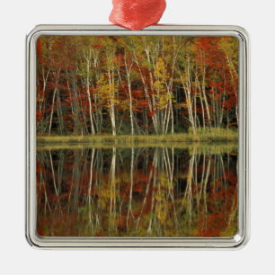 Adorno Metálico Follaje de otoño y reflejos de abedul; Hiawatha