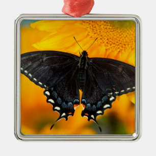 Adorno Metálico Forma negra del tigre oriental