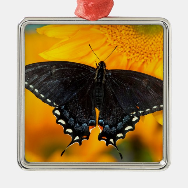 Adorno Metálico Forma negra del tigre oriental (Frente)