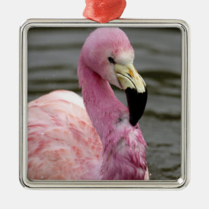 Adorno Metálico Foto cautiva de un flamenco andino