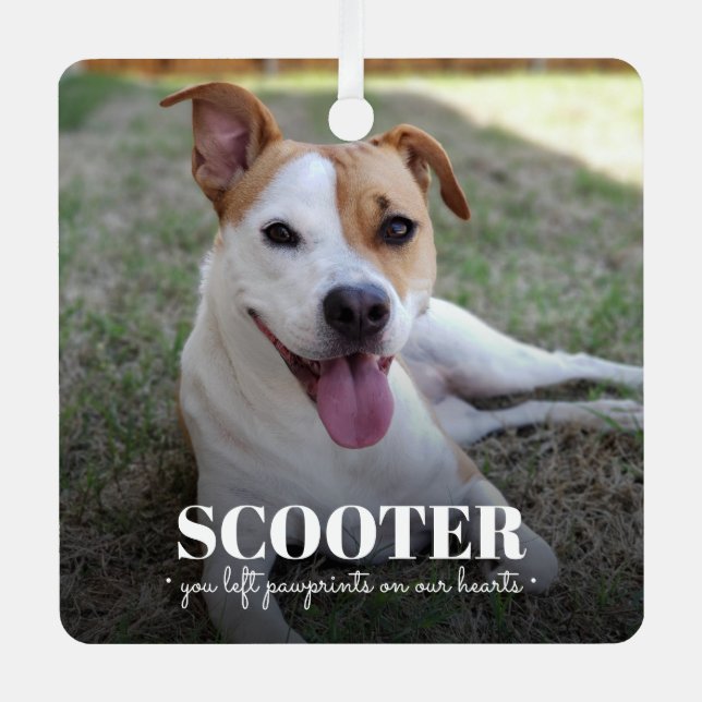 Adorno Metálico Foto conmemorativa del perro (Anverso)