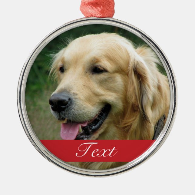 Adorno Metálico Foto de encargo del mascota del perro y nombre o (Frente)