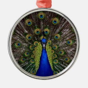 Adorno Metálico Foto de exhibición de plumas de pavo real