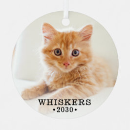 Adorno Metálico Foto de gato