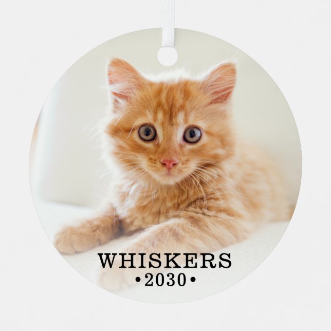 Adorno Metálico Foto de gato (Anverso)