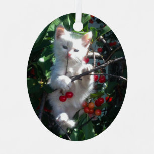Adorno Metálico Foto de gato familiar como recuerdo