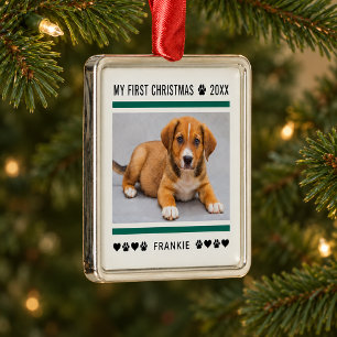 Adorno Metálico Foto de la primera Navidad del cachorro con franja