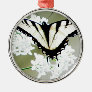 Adorno Metálico Foto de mariposa de cola Swallowtail de tigre orie