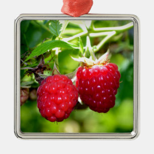 Adorno Metálico Foto de moras frescas frambuesas fruta