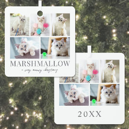 Adorno Metálico Foto de Navidad de gato acariciado