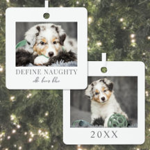 Foto de Navidad de Perro Mascota