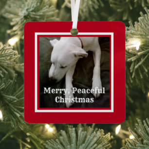 Adorno Metálico Foto de perro lindo roja y blanca Paz 2025 Navidad