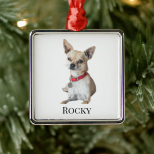 Adorno Metálico Foto de perro personalizada Nombre de mascota pe
