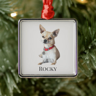 Adorno Metálico Foto de perro personalizada Nombre de mascota pe