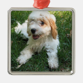 Adorno Metálico Foto de perro personalizado
